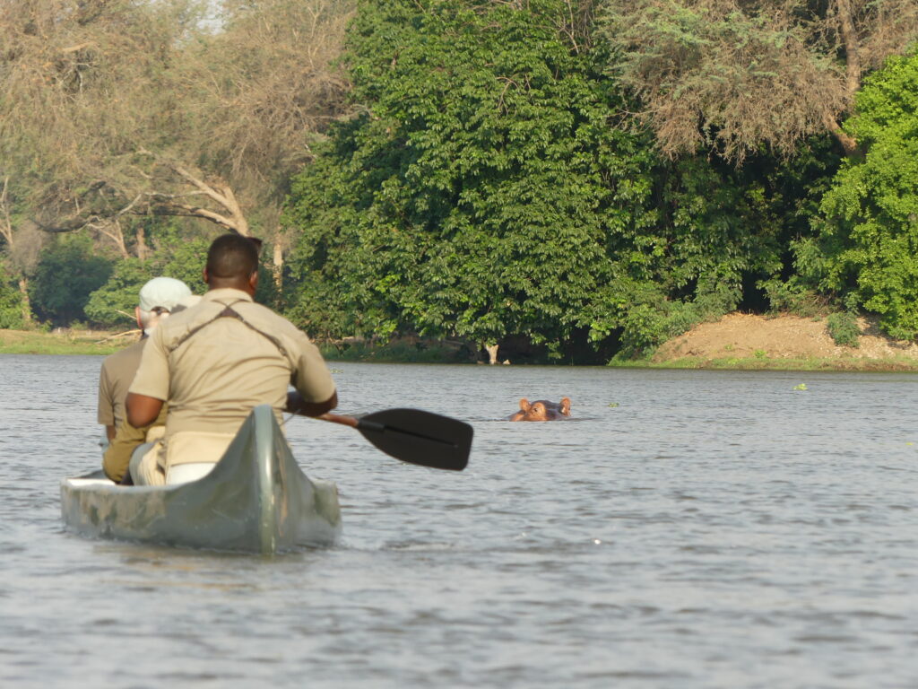 Kanu auf Discovery Channel Zambezi mit Flusspferd