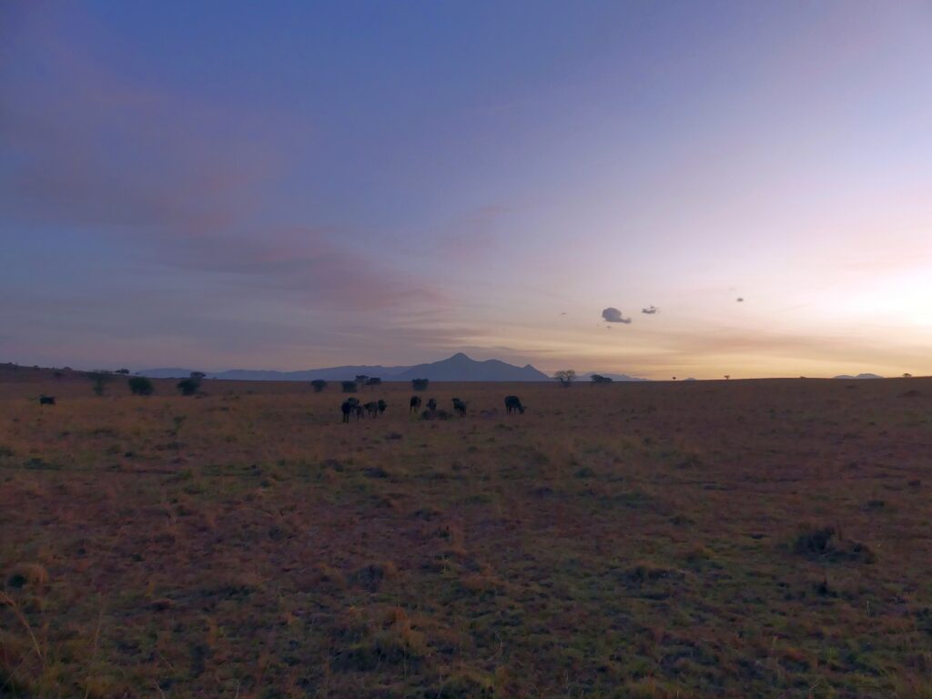 Sonnenuntergang im Kidepo Valley Nationalpark