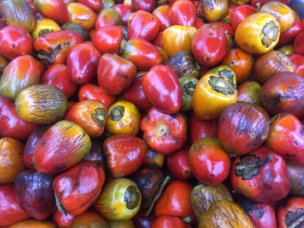 Viele Früchte auf dem Markt in San José, CostaRica