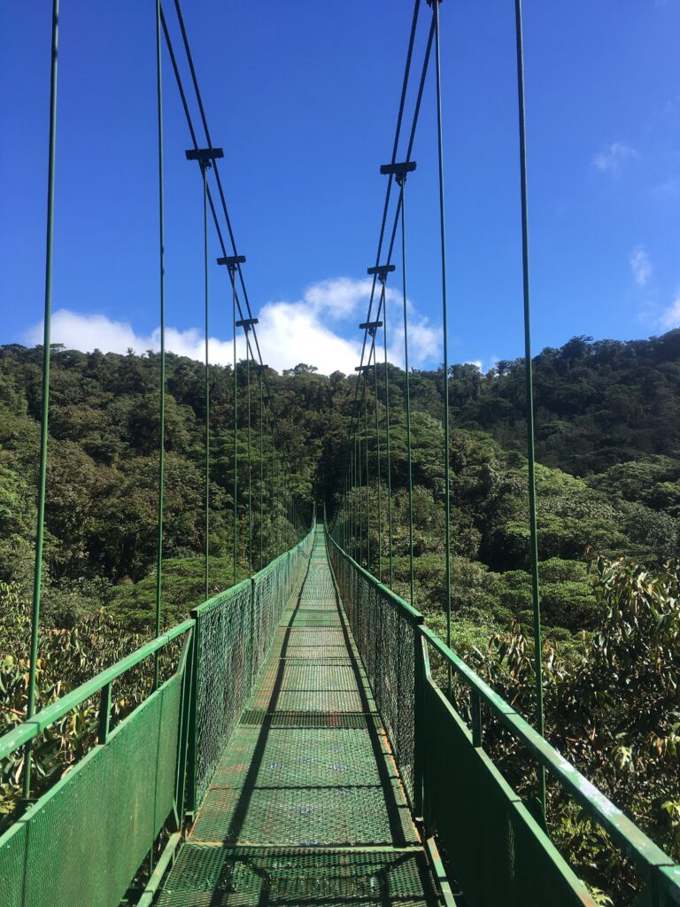 Hängebrücken im Monteverde Nationalpark in CostaRica bei blauem Himmel