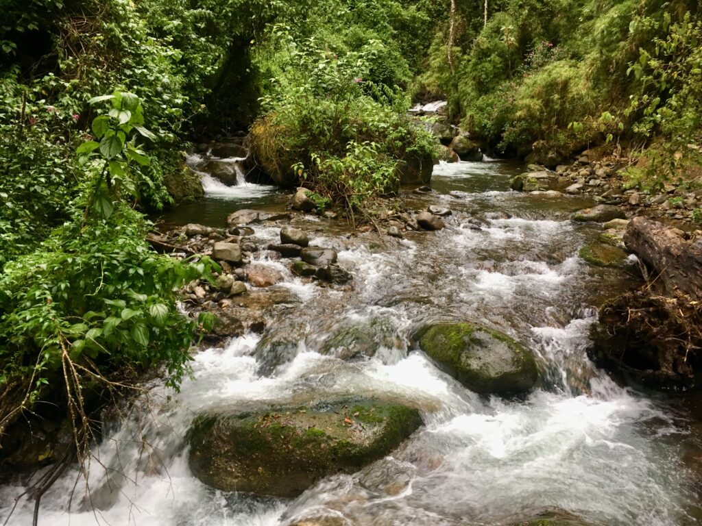 Natur pur mit kleinem Wasserfall in CostaRica