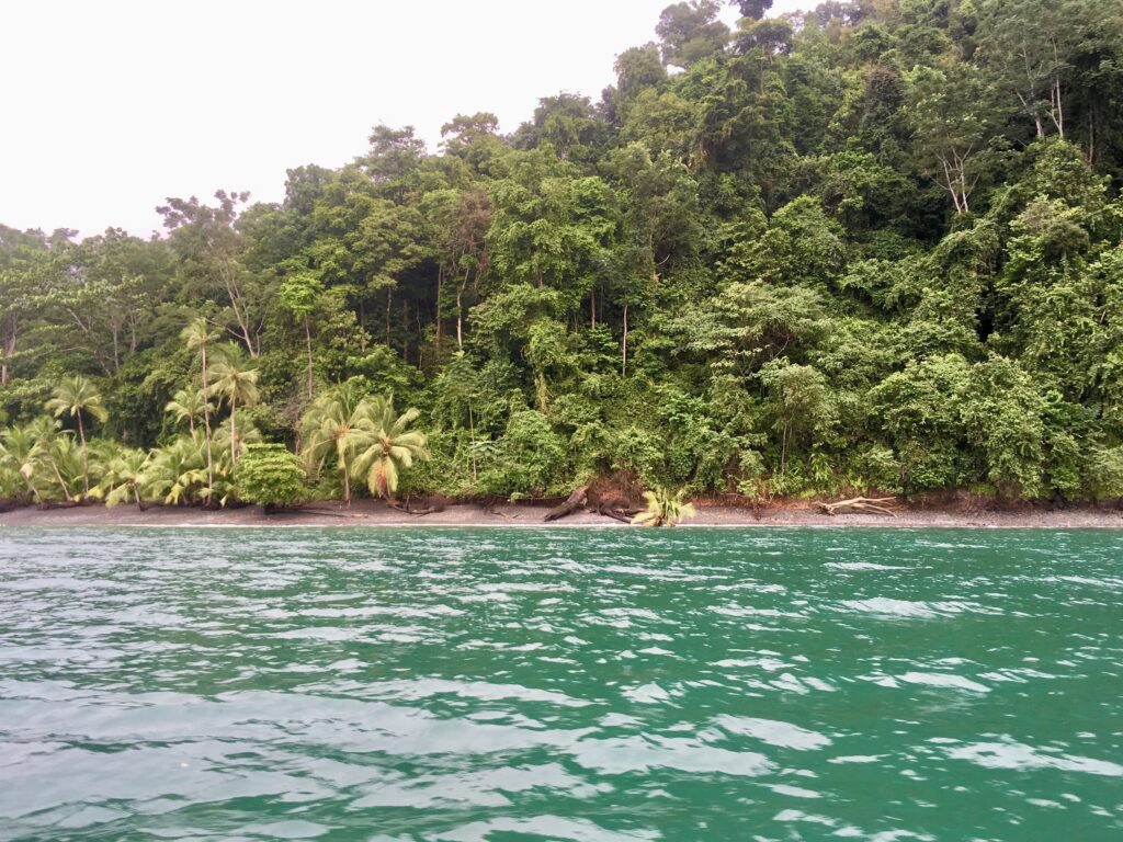 Bootsausflug im Golfo Dulce in CostaRica an der Pazifikküste